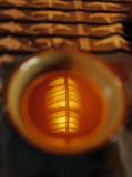 21 february L1170877a.jpg