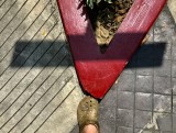 7 march IMG_E6113.jpeg