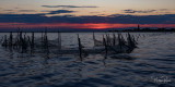 Filets de pche  la nuit - Burano - Venezia 2019 - 2061