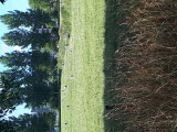 20220730_090922.jpg