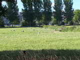 20220730_090929.jpg