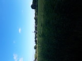 20220730_091942.jpg