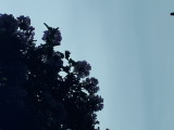 20220801_113619.jpg