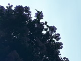 20220801_113647.jpg