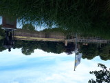20220801_134305.jpg