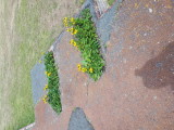 20220801_134620.jpg