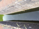 20220801_134633.jpg