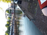 20220801_201206.jpg