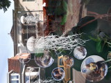 20220802_092503.jpg