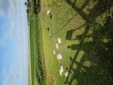 20220803_025908.jpg