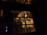 20220804_113224.jpg