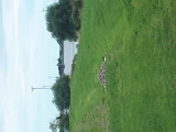 20220805_130022.jpg