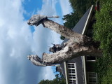 20220805_161315.jpg