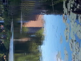 20220805_193627.jpg