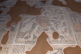 Adana Archaeological Museum Noahs Ark Mosaic 0338.jpg