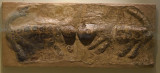Ankara Anatolian Civilizations Leopard reliefs june 2019 3160.jpg