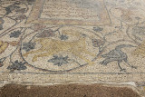 Urfa Haleplibahce Museum Asagi Basak Mosaic sept 2019 5222.jpg