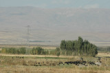 Muş in 2005 1256.jpg