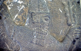 Kahramanmarash 3