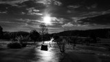 DSC06780.jpg