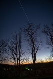 DSC03626B.jpg