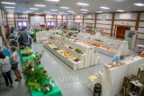 DSC01602.jpg