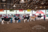 DSC02586.jpg