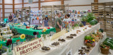 DSC03047.jpg