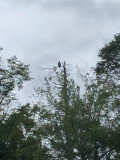 IMG_7112.jpg