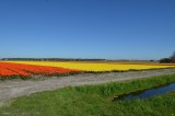 Noord-Holland