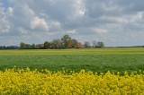 Overijssel 2