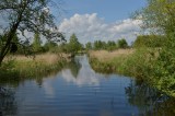 Weerribben en Wieden