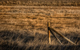 Fence Post at Sunset