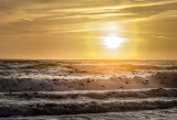Pajaro Dunes