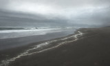 Monterey Coast