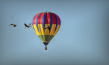Albuquerque Flyers