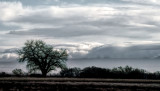 Winter Sky, New Mexico