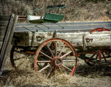 The Buckboard Wagon