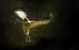 A Moment in Flight