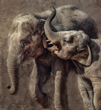 Whispering Sweet Nothings