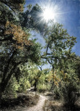 Bosque River Trail