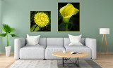 Yellow Lily & Lemon Strawflower