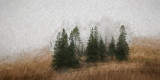 In the Misty Mountains