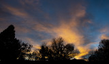 Good Morning New Mexico!