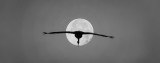 Flight Before the Cold Moon, 12-2021