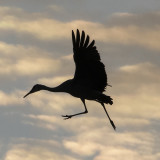 First Step in Landing - Wheels Down 1