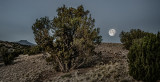 Moonset Over Abiquiu