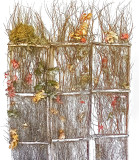 Yard Collage