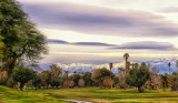 Palm Springs area in Winter