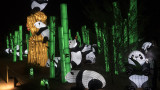 Bamboo Forest Pandas